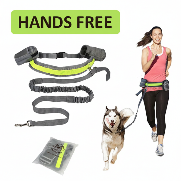 Adjustable Hands Free Dog Leash